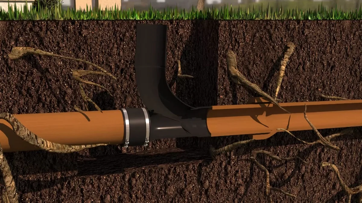 Cutaway illustration of a buried orange sewer pipe with tree roots around a black fitting